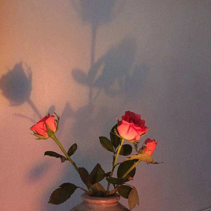 离婚冷静期能不能提前结束?